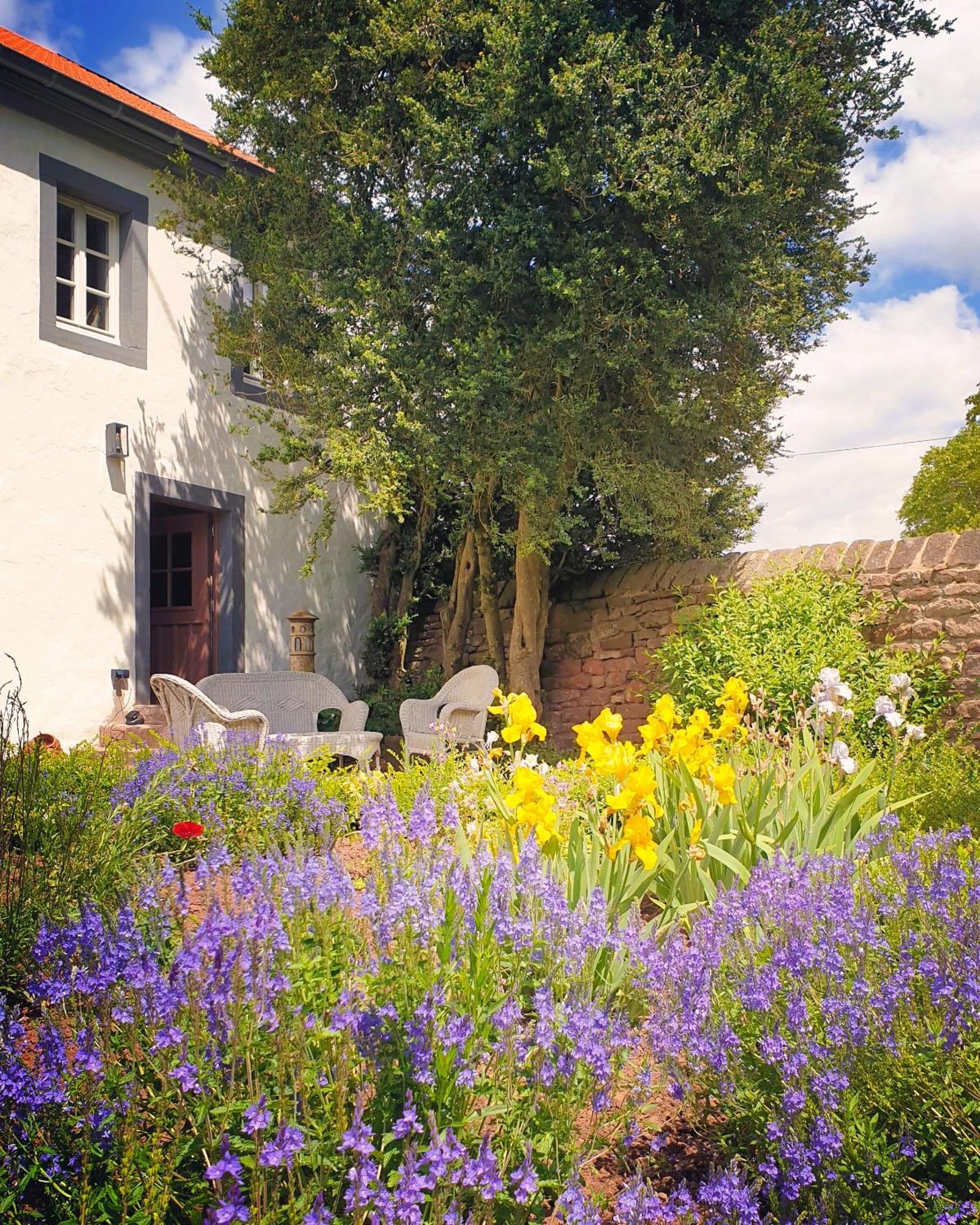 B&B Gutshaus De La Fontaine Feilsdorf 외부 사진